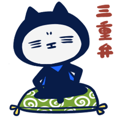 Mieben ninja cat