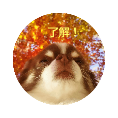 wanwan_20191224174345