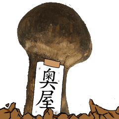 松茸研究家奥屋さんのマツタケ