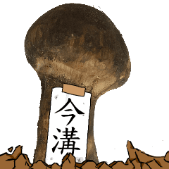 松茸研究家今溝さんのマツタケ