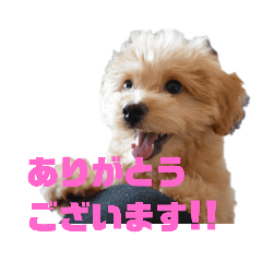 May's stickers v2.1