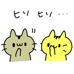 TWIN CATS!