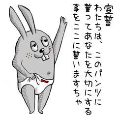 Rabbit wearing panties