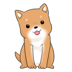 mame shiba