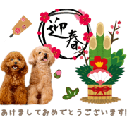 rena._20191224205849