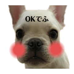 TAKi_20191224224519
