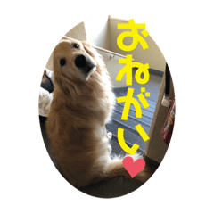 nanana_20191224230259