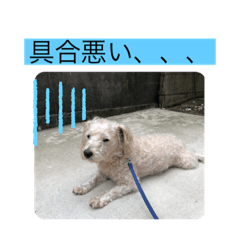 wasabi_20191224231751