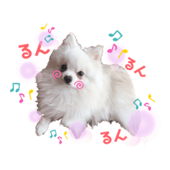 shi  stamp