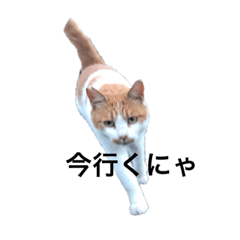 RINGO_20191224120237