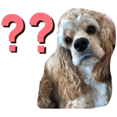 kurumi_20191225011233