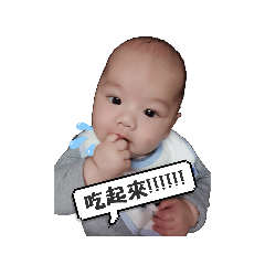 肥肥專屬