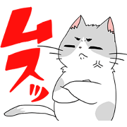 Cuty Cat