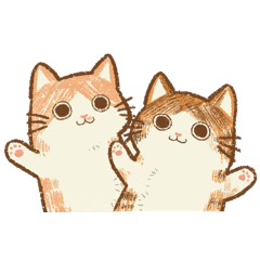 年年有貓，貓貓有魚