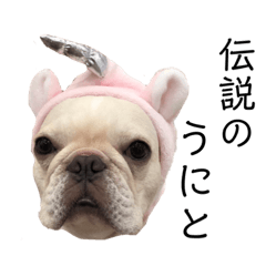 yukari_20191225134739