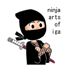 ninja iga