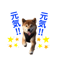 Ken_20191225185102