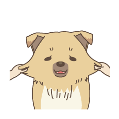 japanese so cute crosbreed Shiba dog