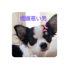 Ryuki_20191225222259