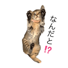 sumire_20191225230611