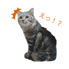 Ryuki_20191226003320