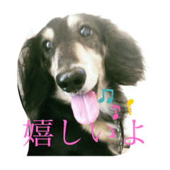 SAYURI_20191225233625