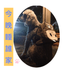Nemo。