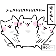 The cat in my heart