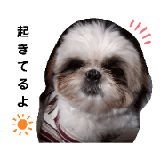 mojya_20191226065510