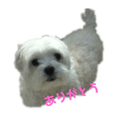 Jun_20191225230346