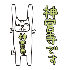 Only for Mr. Jingugi Banzai Cat