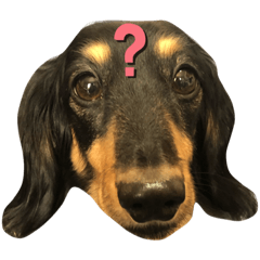 ayumi_20191226160850