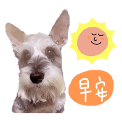 寶送錢來
