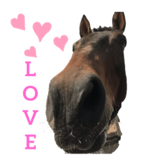 Emily_20191226224602