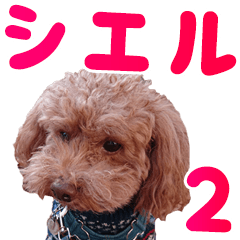 Ciel the Dog Vol.2 - Daily conversation
