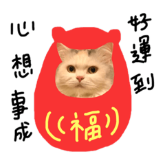 Kiko小公主