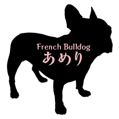 Life of French Bulldog Amelie