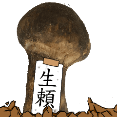 松茸研究家生頼さんのマツタケ