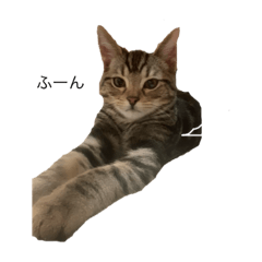 HARUNA_20191226234817