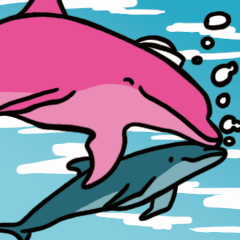 Pink Dolphin every day