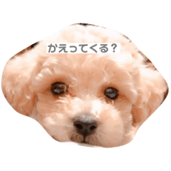 Rei_20191227041132