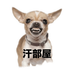 jun_20191227102246