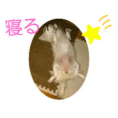 peace_20191227160738