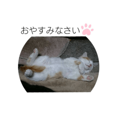 wasabi_20191227163335