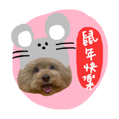 寶寶是隻寶