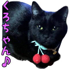 KUROchan sticker of cat