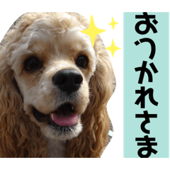 kurumi_20191227194421