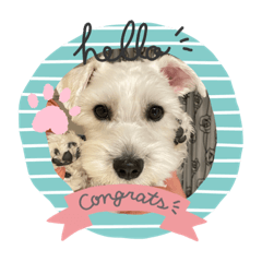 tomomi_20191227191746