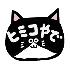 Tuxedo cat Himiko