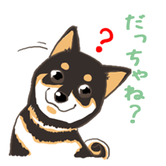 Di Miyagi adalah anjing Shiba Inu Taro